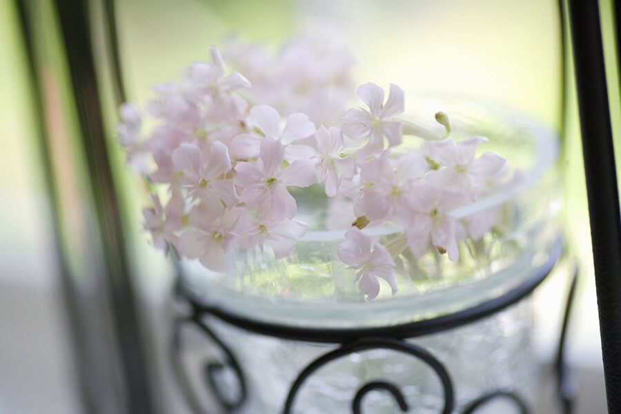 décorer l’intérieur avec des fleurs blanches