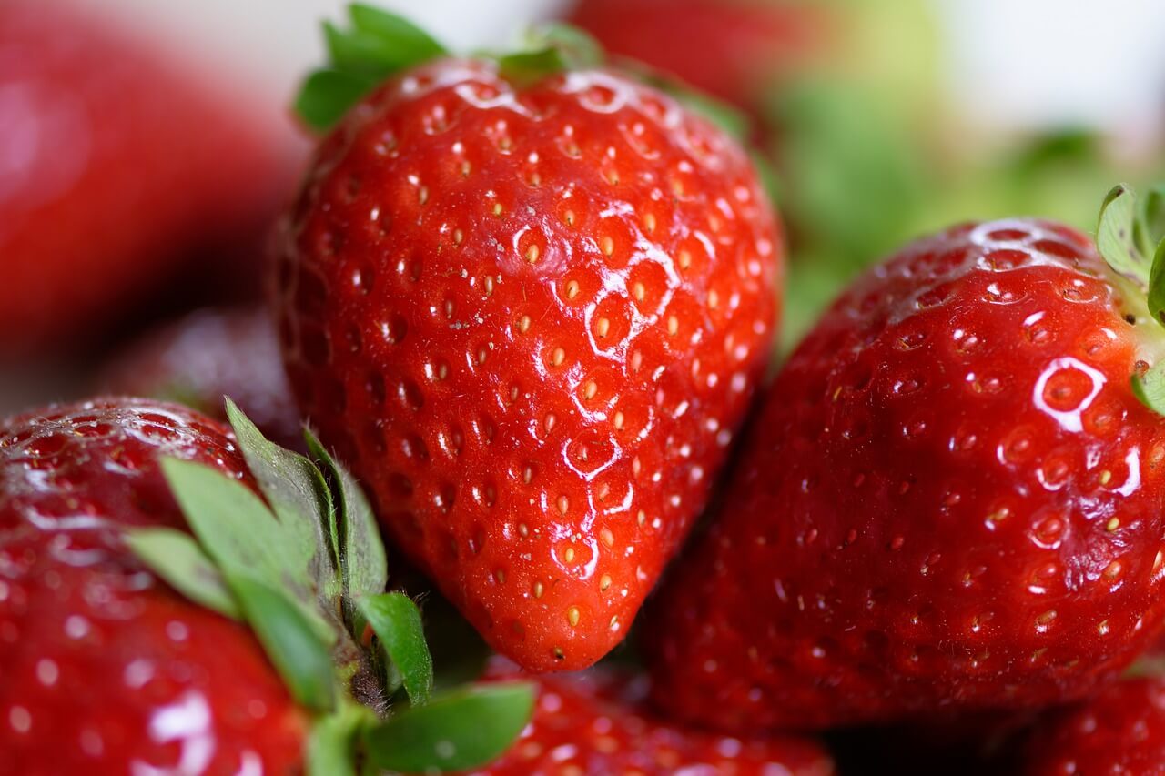 bonne conservation des fraises