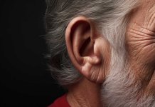 prothèse auditive