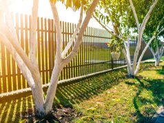 Conseils pour bien choisir sa clôture de jardin clôture de jardin