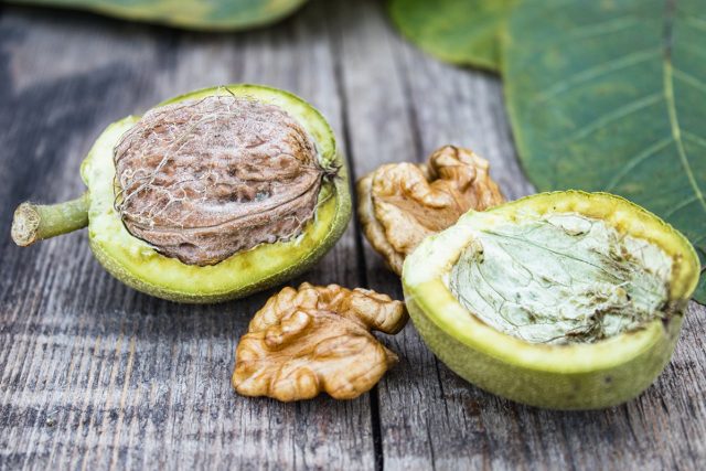 recette-vin-de-noix recette de grand-mère du vin de noix