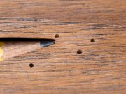 Astuces pour traiter un meuble vermoulu traiter un meuble vermoulu