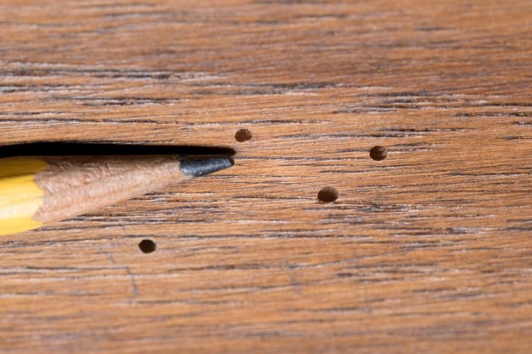 Astuces pour traiter un meuble vermoulu