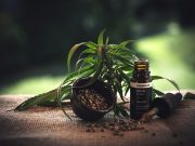 Sélection des meilleurs sites de CBD en France en 2024