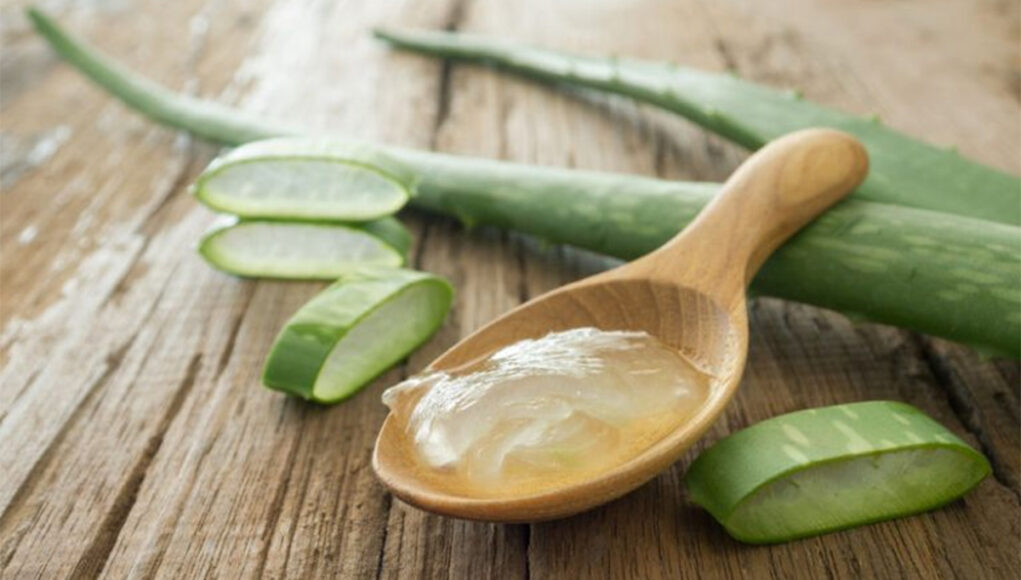 bienfaits Aloe Vera