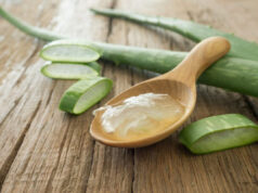 Aloe Vera : découvrez tous les secrets, bienfaits et usages de la plante miracle bienfaits Aloe Vera