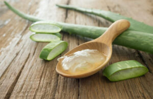 Aloe Vera : découvrez tous les secrets, bienfaits et usages de la plante miracle bienfaits Aloe Vera