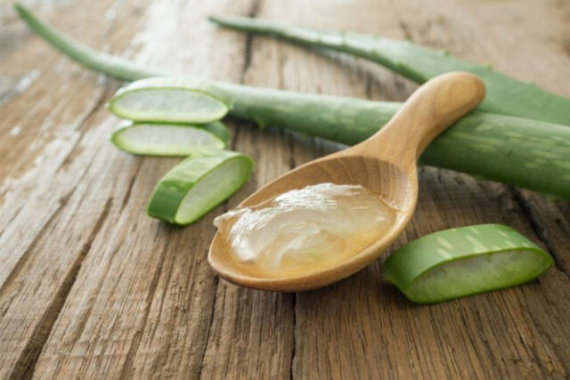 bienfaits Aloe Vera