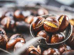 Châtaignes grillées au four : tous les secrets pour sublimer vos soirées d’automne châtaignes grillées au four