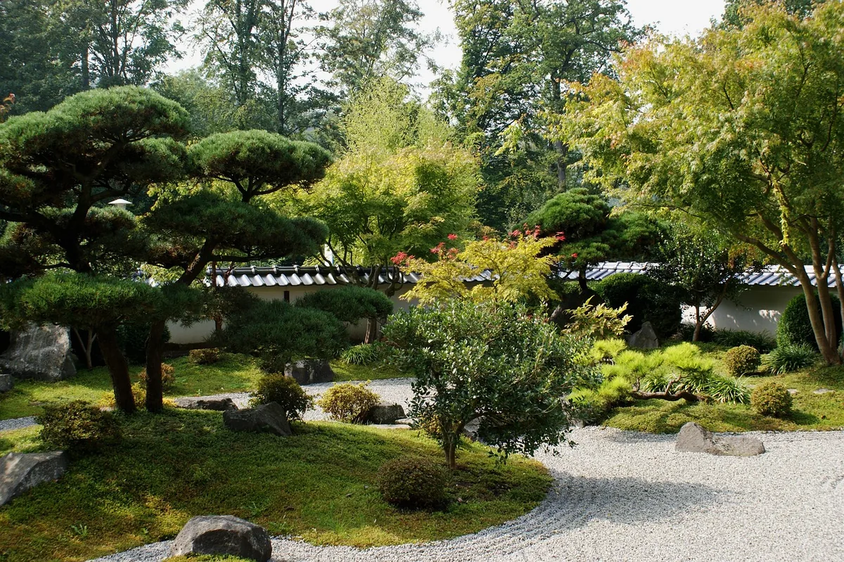 Arbres et végétation dans un jardin bien installé