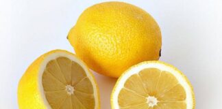 vertus du citron